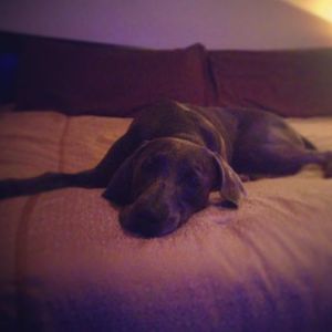 Meet your Posher, Tonia